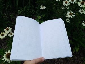notes, planer, pielęgnacja, zabiegi, kosmetyki, kosmetyka